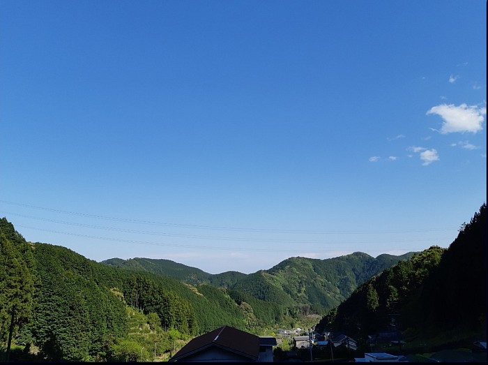 お山の景色